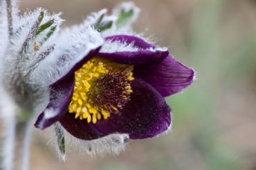 AUTORE: Roberto Valenti AUTORE: Roberto Valenti