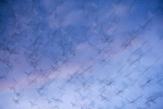 in un batter d'ali in un batter d'ali