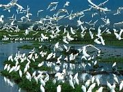 AUTORE: Carlo De Agnoi AUTORE: Carlo De Agnoi /