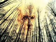 AUTORE: Carlo De Agnoi AUTORE: Carlo De Agnoi /