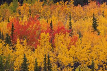 AUTORE: Roberto Valenti AUTORE: Roberto Valenti