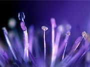 AUTORE: Carlo De Agnoi AUTORE: Carlo De Agnoi /