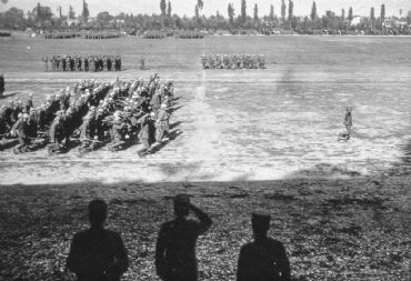 AUTORE: Luigi Dorigo - Ali e Radici Multivisioni AUTORE: Luigi Dorigo - Ali e Radici Multivisioni