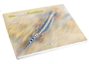 AUTORE: Merlino Multivisioni AUTORE: Merlino Multivisioni /