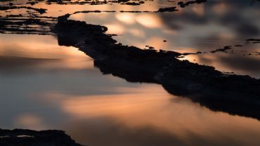 AUTORE: Luigi Dorigo - Ali e Radici Multivisioni AUTORE: Luigi Dorigo - Ali e Radici Multivisioni