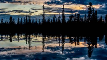 AUTORE: Luigi Dorigo - Ali e Radici Multivisioni AUTORE: Luigi Dorigo - Ali e Radici Multivisioni /